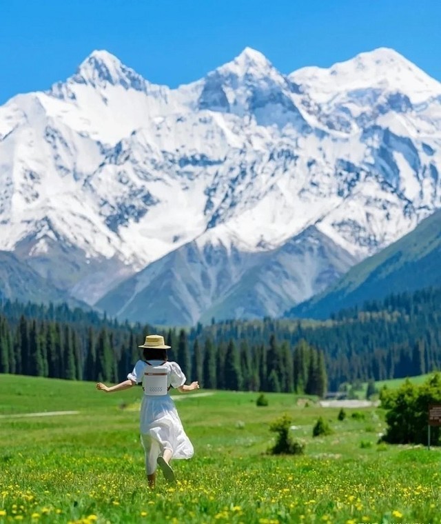 高原旅行在左，极氧保障为先